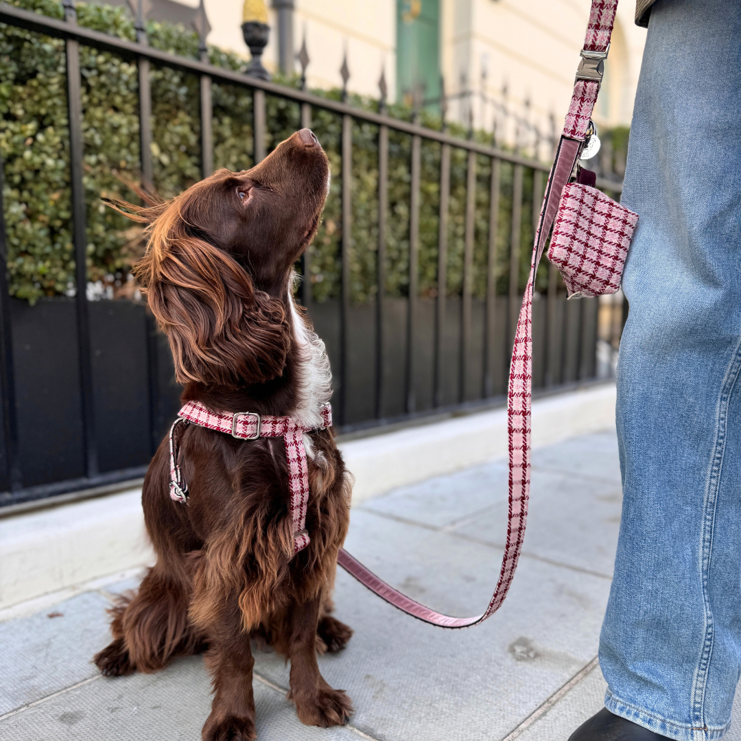 The Fearnan Design - Luxury Dog Lead - Glenlyon Collection