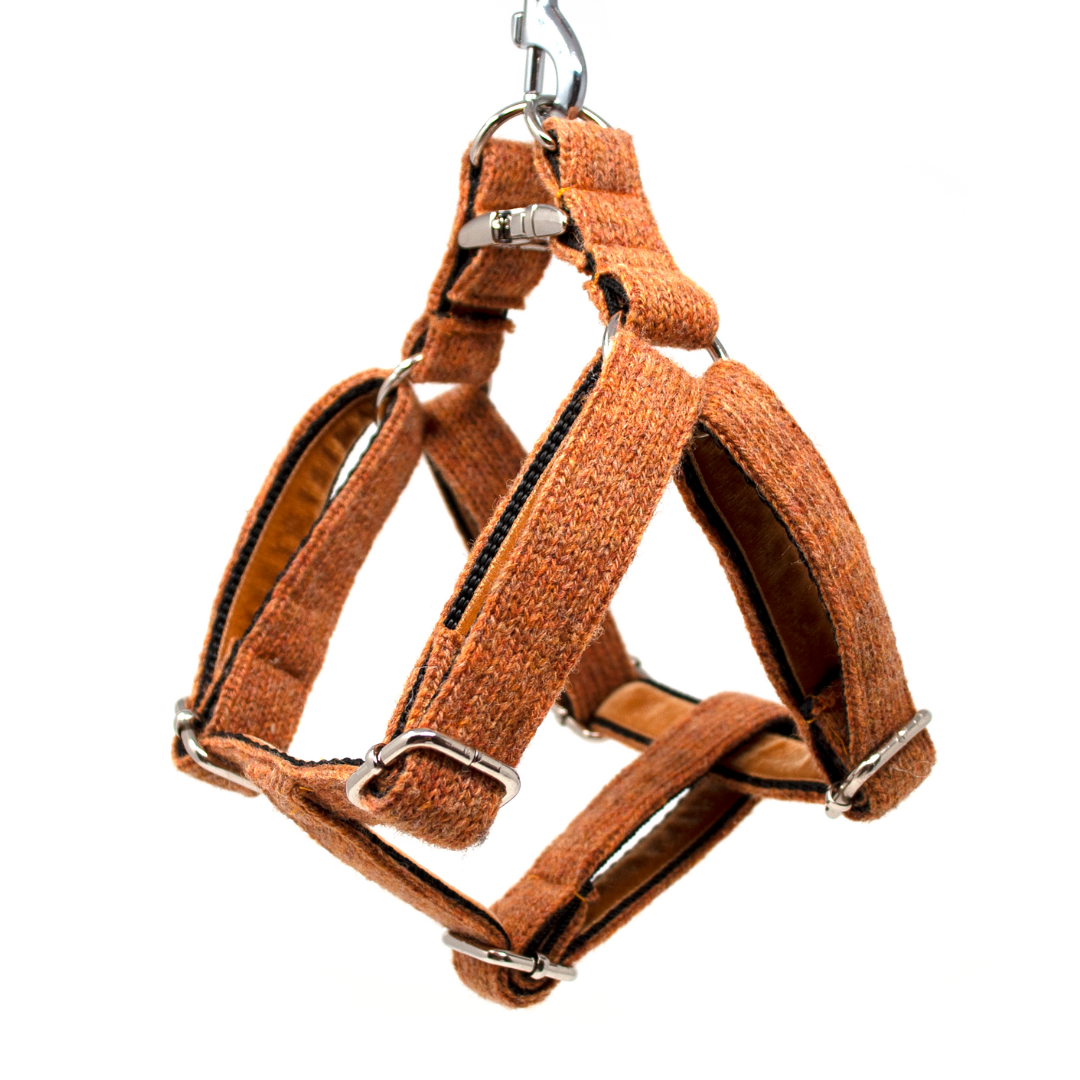 Copper - Autumn/Winter '23 Collection - Luxury Dog Harness