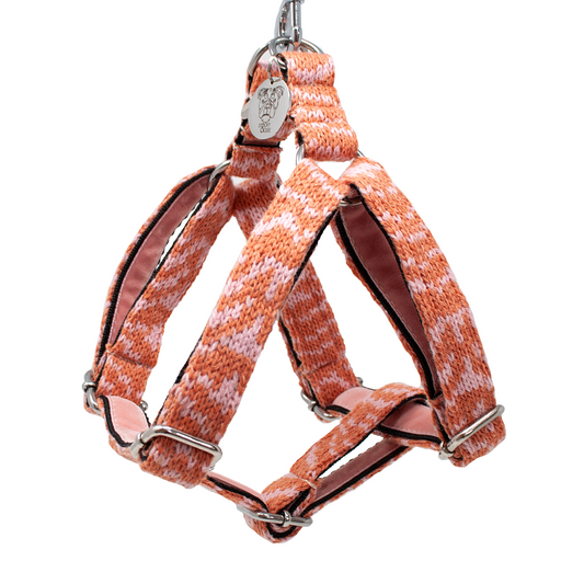 Coral - SS25 Collection - Luxury Dog Harness