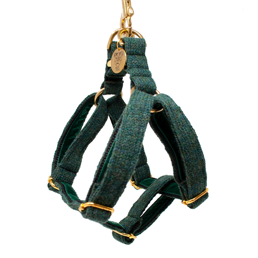 A green luxury dog harness with gold-colored metal fittings and a soft velvet lining.