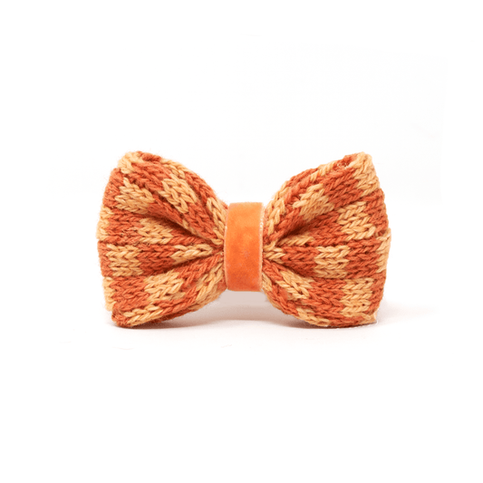Melon - SS24 Collection - Luxury Dog Bow Tie