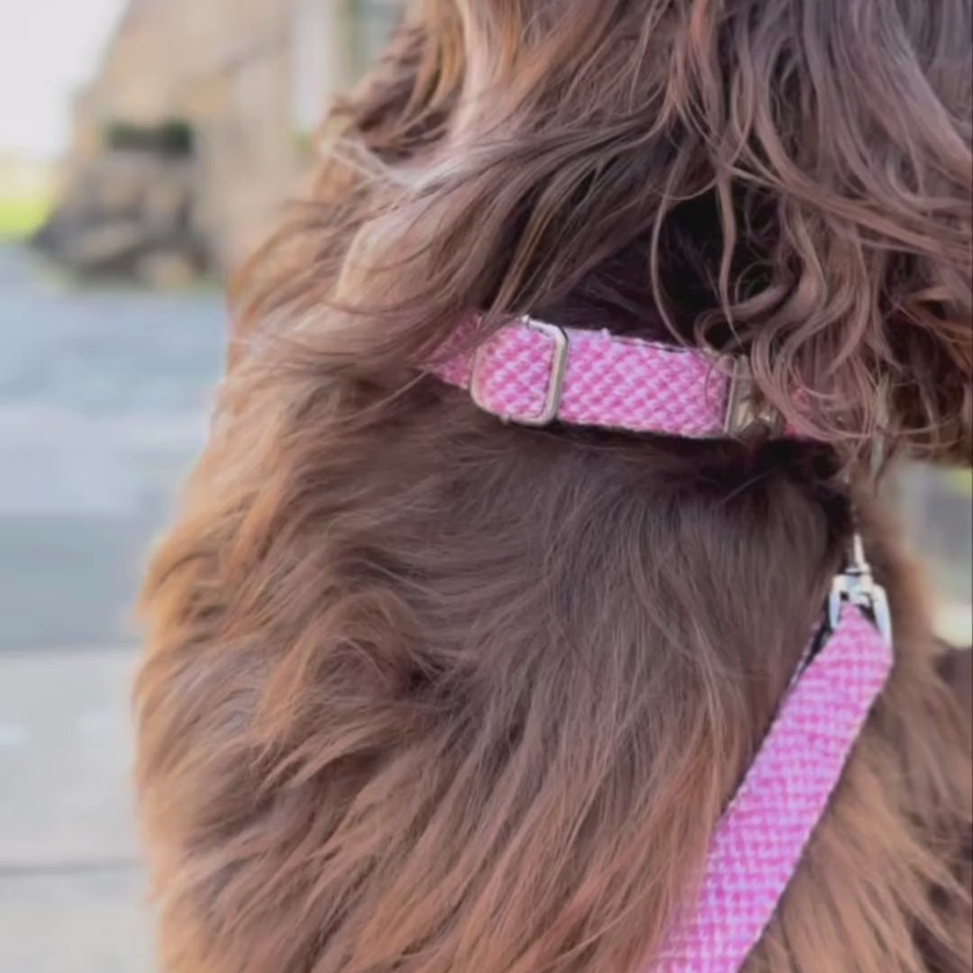 Pink & Dove - Classic Collection - Luxury Dog Collar