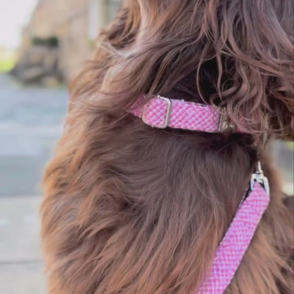 Pink & Dove - Harris Design - Luxury Dog Collar