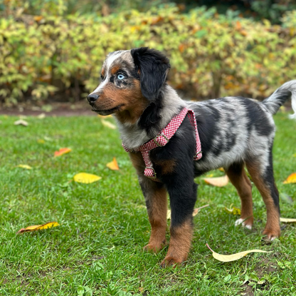 Rosehip & Dove - Bespoke Gift Hamper