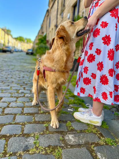 Rosehip & Dove - Bespoke Gift Hamper