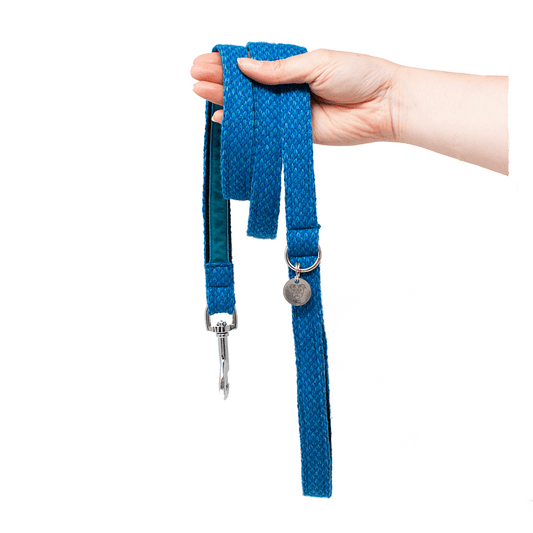 Royal Blue & Turquoise - Harris Design - Luxury Dog Lead