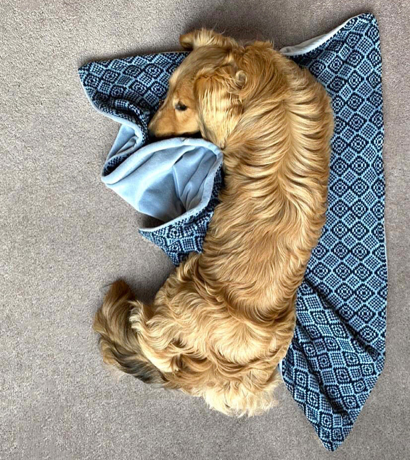 Black & Ice Blue - Barclay Design - Luxury Dog Blanket