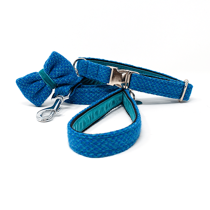 Royal Blue & Turquoise - Harris Design - Luxury Dog Collar