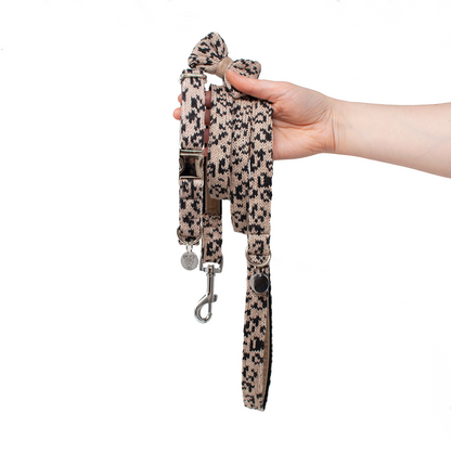 Black & Tan - Spring/Summer '23 Collection - Luxury Dog Collar