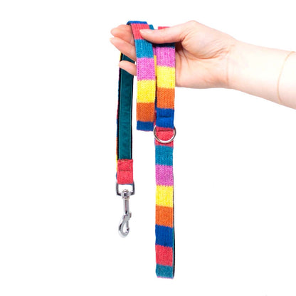 Rainbow Charity Collection - Luxury Dog Lead