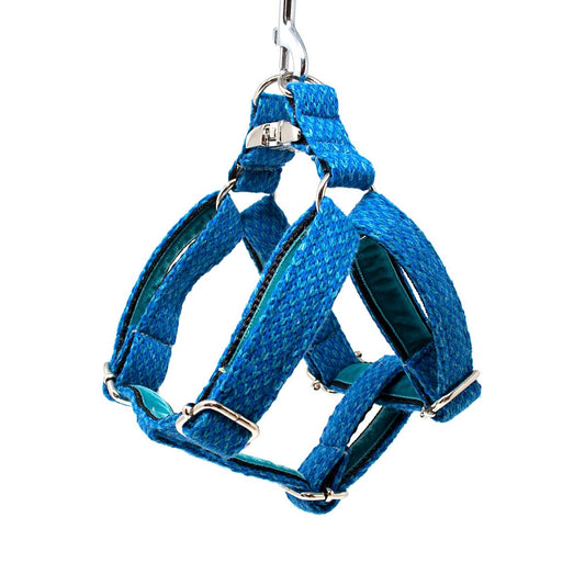 Royal Blue & Turquoise - Harris Design - Luxury Dog Harness