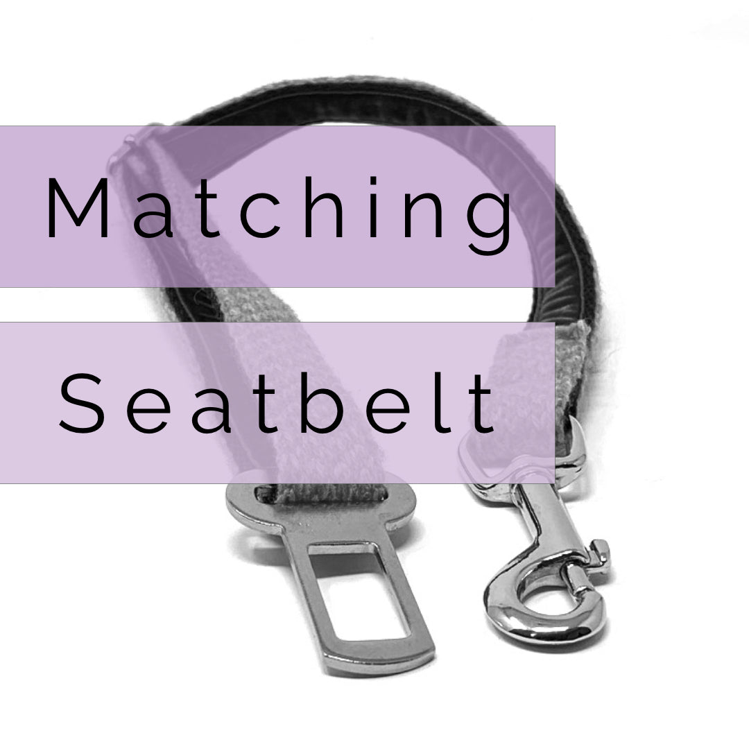 Matching Dog Seatbelt