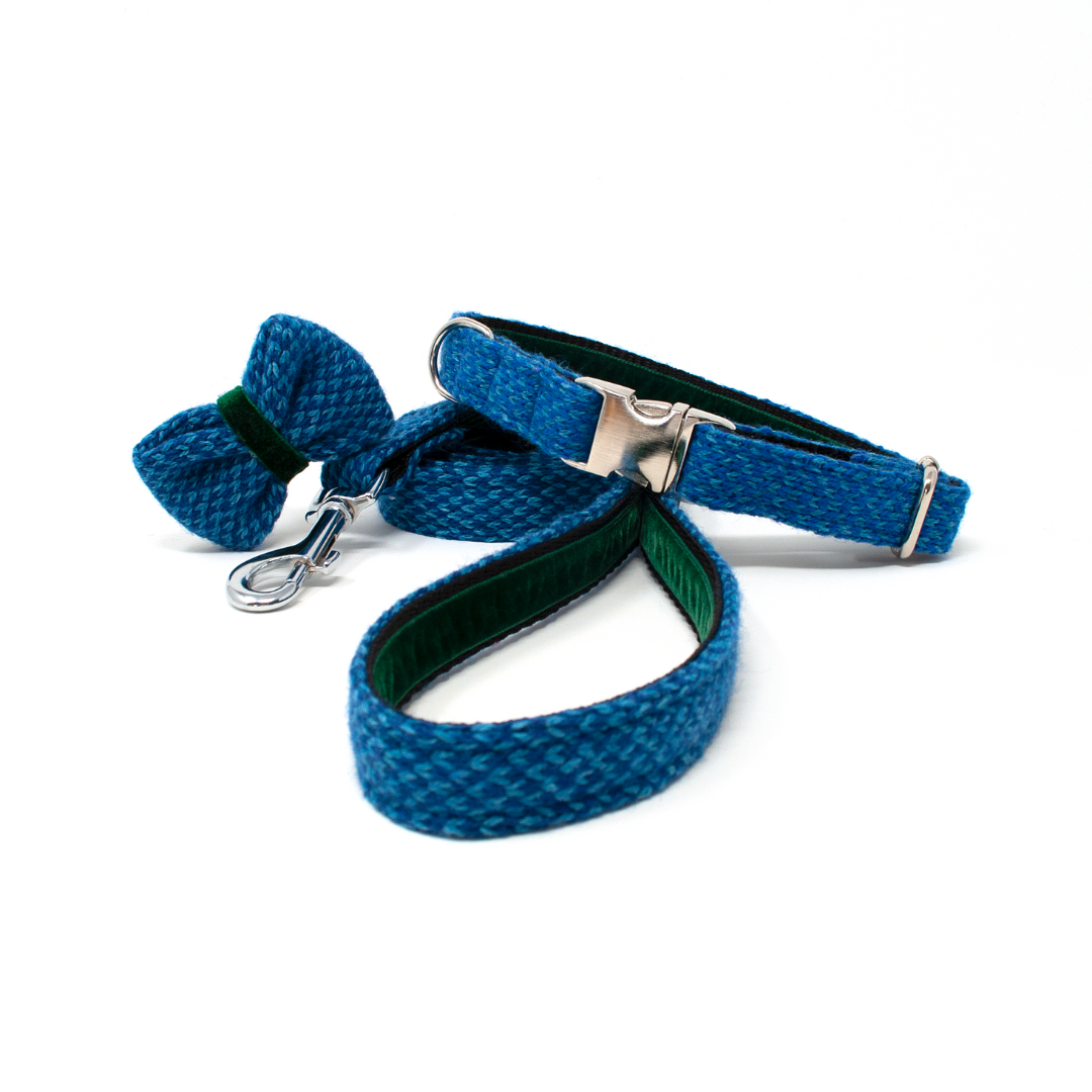 Royal Blue & Turquoise - Harris Design Bundle