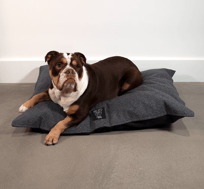 Black & Grey - Harris Design - Luxury Dog Bed