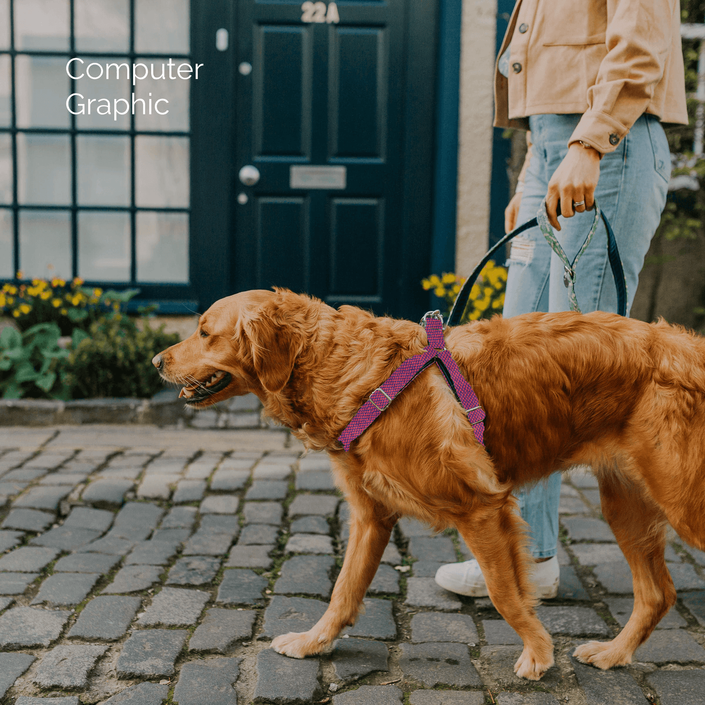 Bespoke Design: Geranium & Purple - Harris Design - Luxury Dog Harness