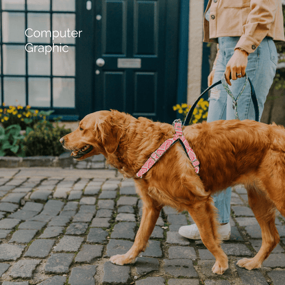 Bespoke Design: Geranium & Dove - Barclay Design - Luxury Dog Harness