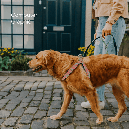 Bespoke Design: Geranium & Green - Barclay Design - Luxury Dog Harness