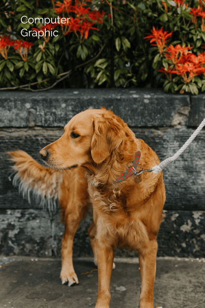 Bespoke Design: Geranium & Green - Kerr Design - Handmade Dog Collar