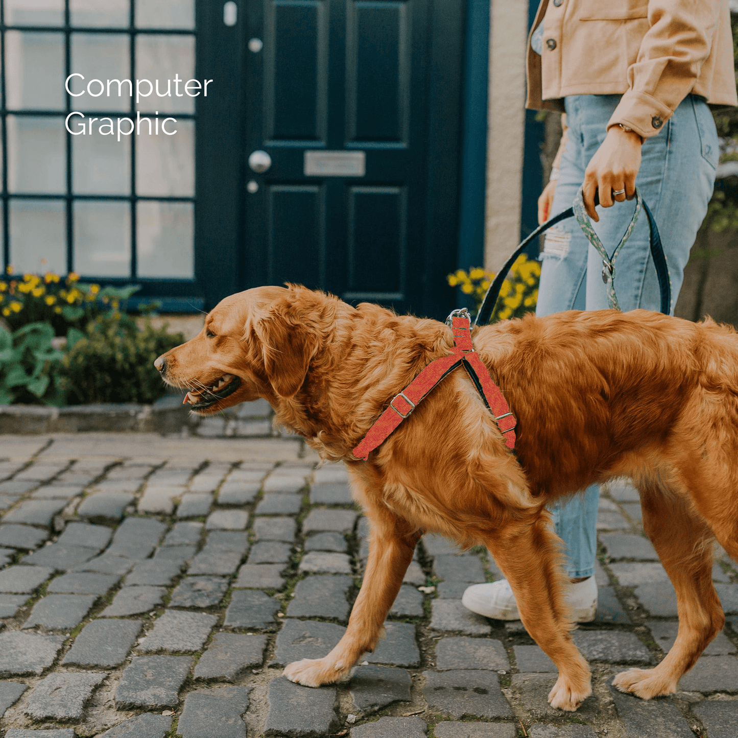 Bespoke Design: Geranium & Orange - Kerr Design - Luxury Dog Harness