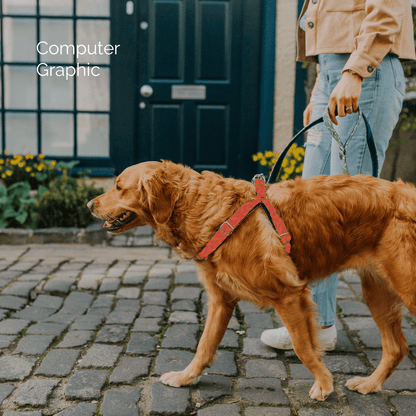 Bespoke Design: Geranium & Orange - Kerr Design - Luxury Dog Harness