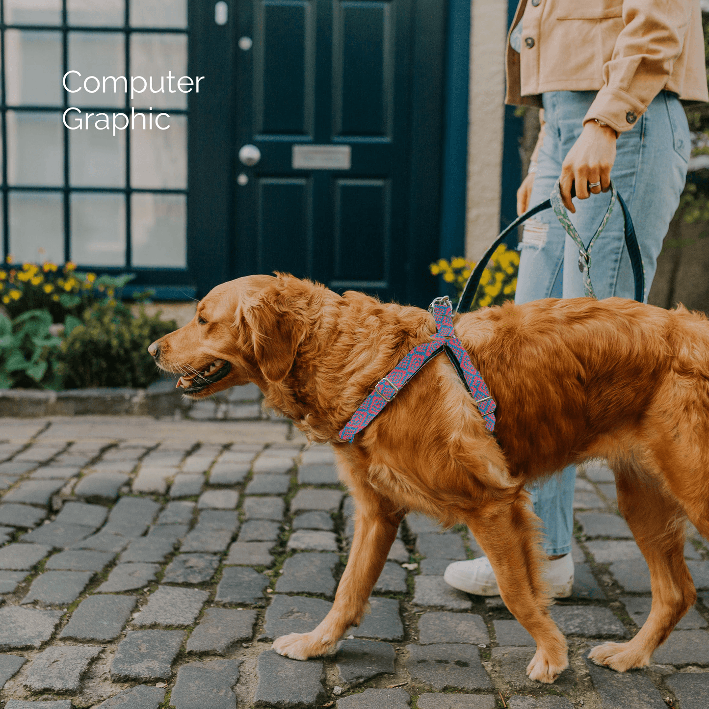 Bespoke Design: Geranium & Turquoise - Barclay Design - Luxury Dog Harness