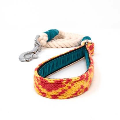 Yellow & Geranium - Kerr Design - Handmade Dog Collar