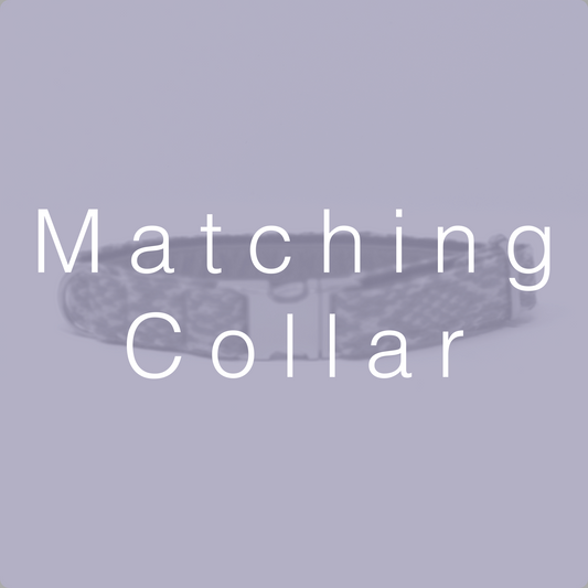 Matching Dog Collar