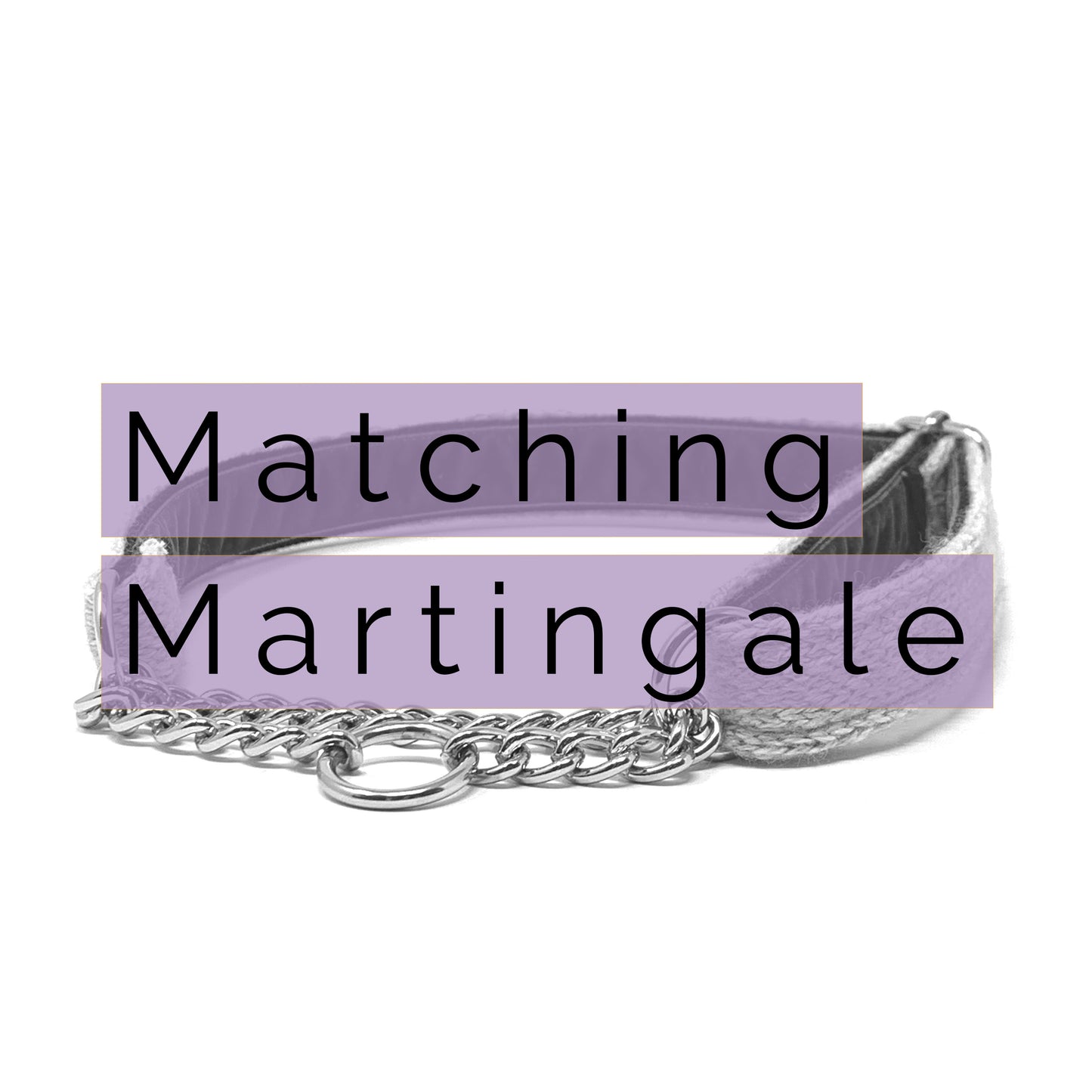 Matching Martingale Dog Collar