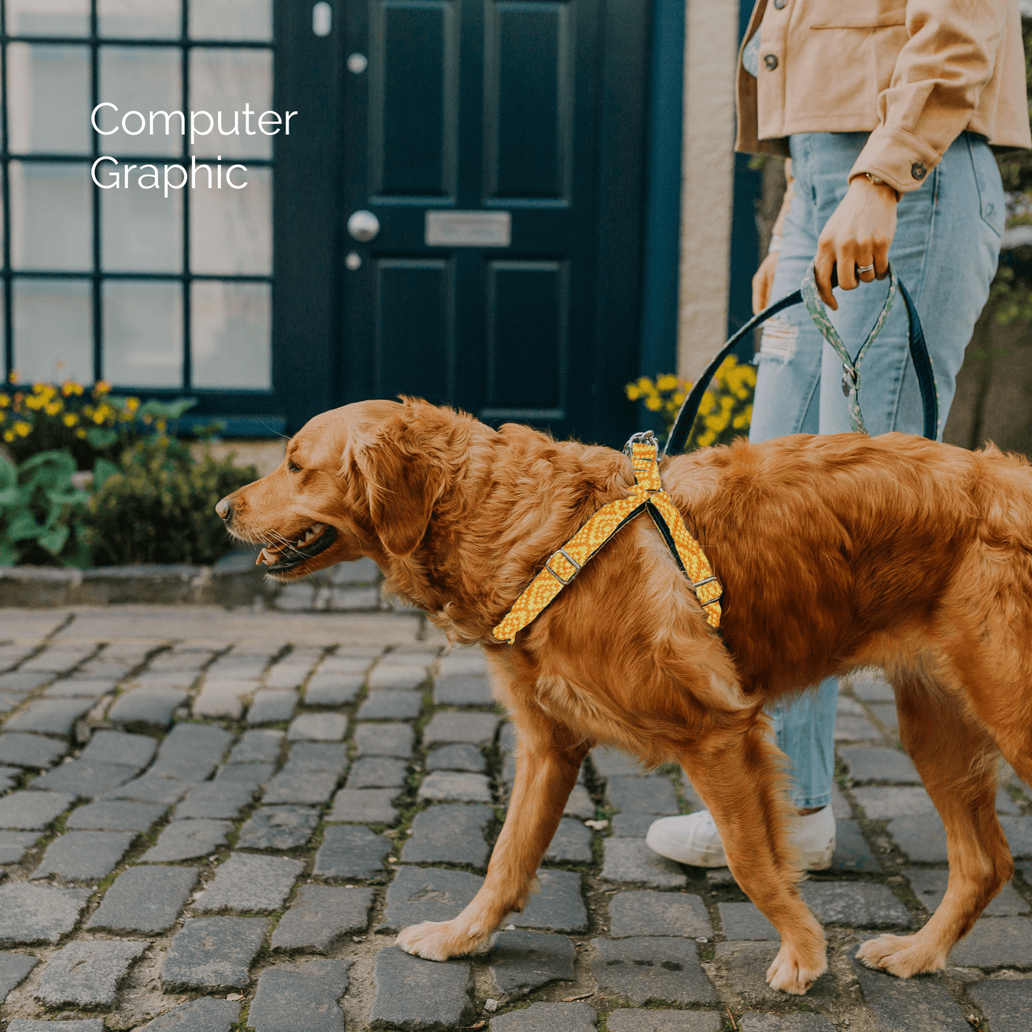 Bespoke Design: Yellow & Orange - Barclay Design - Luxury Dog Harness