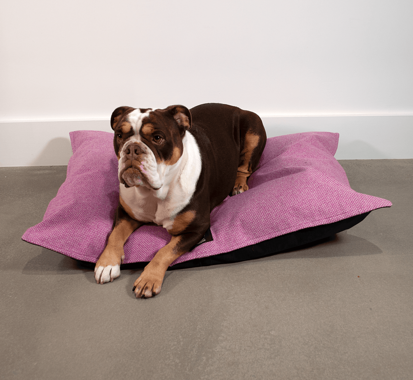 Pink & Dove - Harris Design - Luxury Dog Bed