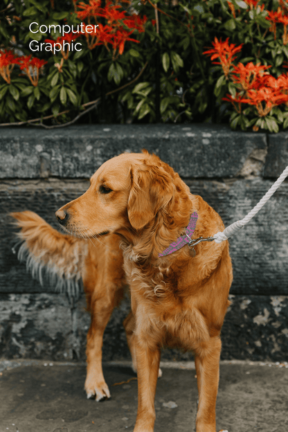 Bespoke Design: Pink & Green - Barclay Design - Handmade Dog Collar