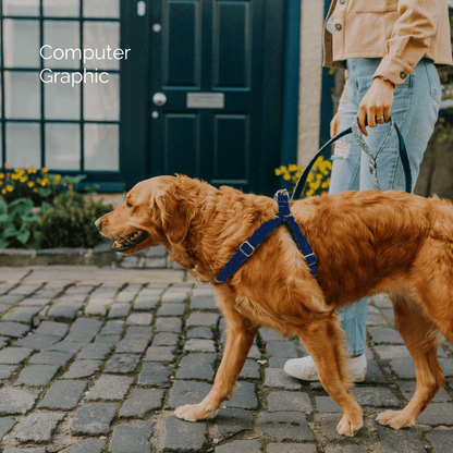 Bespoke Design: Purple & Navy - Kerr Design - Luxury Dog Harness