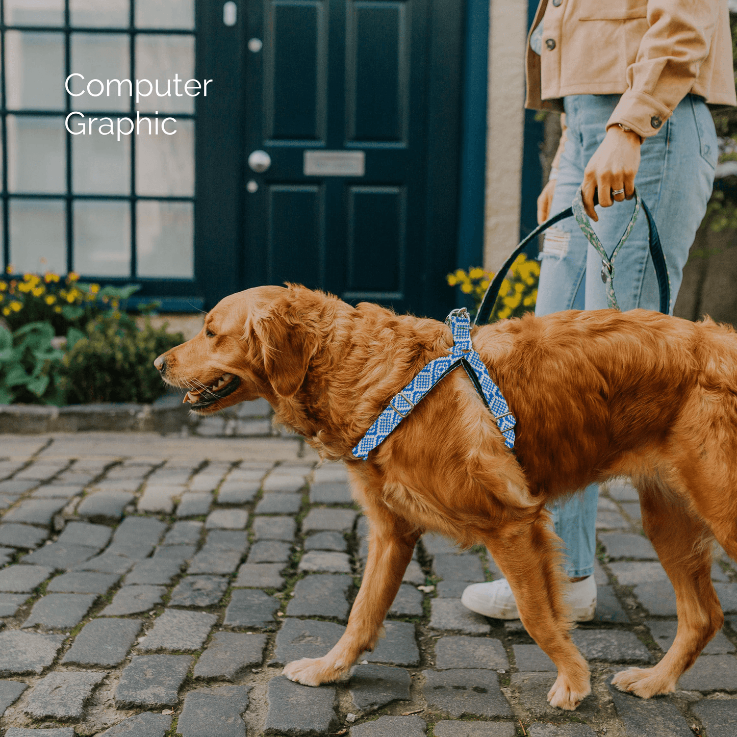 Bespoke Design: Dove & Royal Blue - Barclay Design - Luxury Dog Harness