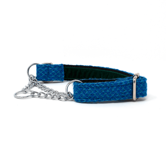 Royal Blue & Turquoise - Harris Design - Martingale Dog Collar
