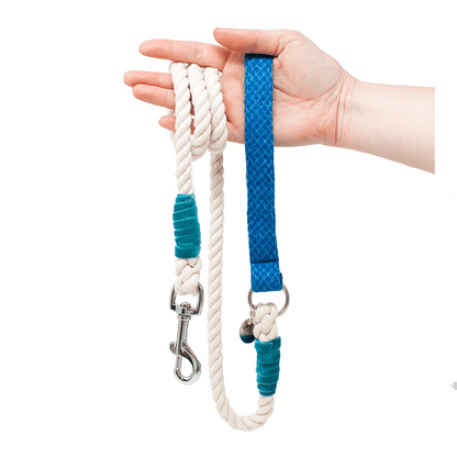 Royal Blue & Turquoise - Harris Design - Luxury Dog Harness