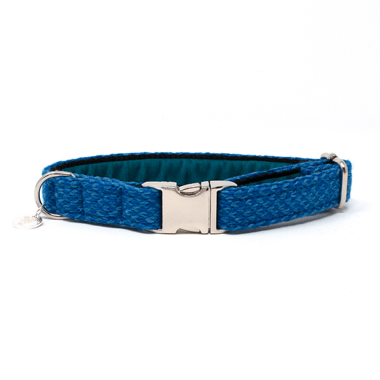 Royal Blue & Turquoise - Harris Design - Luxury Dog Collar