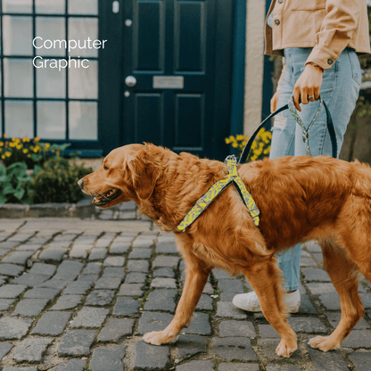 Bespoke Design: Ice Blue & Yellow - Kerr Design - Luxury Dog Harness