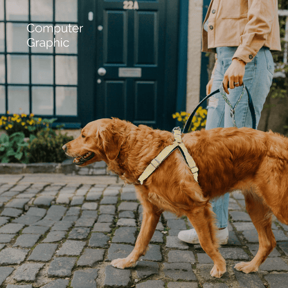 Bespoke Design: Yellow & Lilac - Harris Design - Luxury Dog Harness