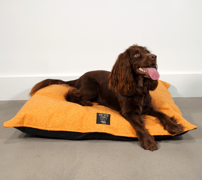 Yellow & Orange - Harris Design - Luxury Dog Bed