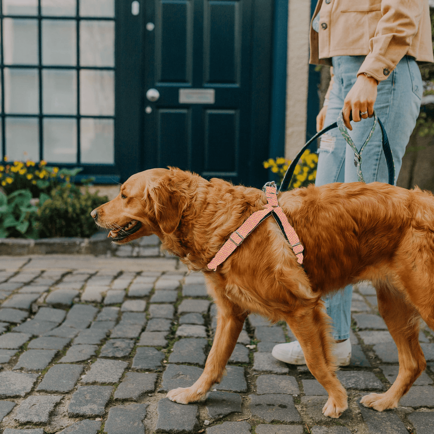 Bespoke Design: Yellow & Pink - Harris Design - Luxury Dog Harness